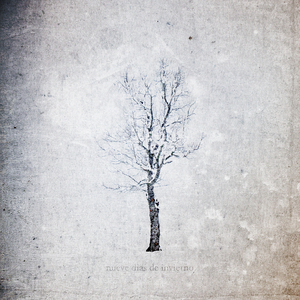 乱伦中文视频高清视频
